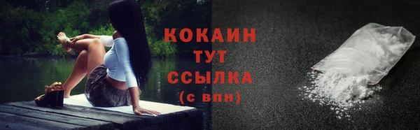 MESCALINE Бородино