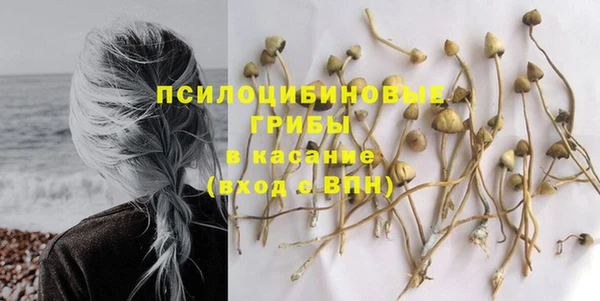 MESCALINE Бородино