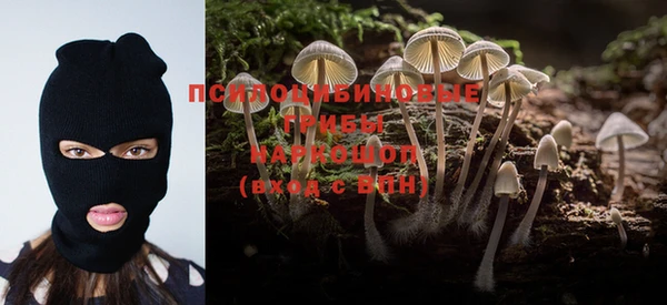 MESCALINE Бородино